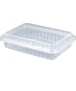 Envase PET con Tapa 190x142x42mm T-15