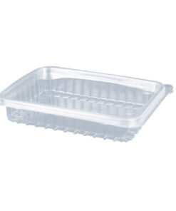 Envase PET con Tapa 190x142x28mm T-14
