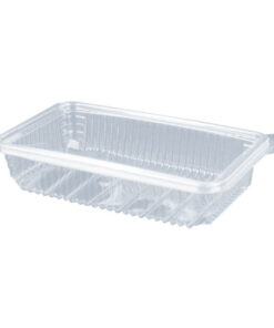 Envase PET con Tapa 223x145x42mm TH16