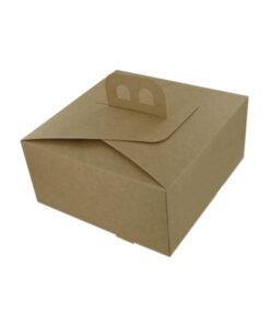 Caja Asa Cubic Kraft 24x24x10Cm