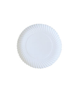 Plato Cartón Estriado ZK Ø21Cm nº4