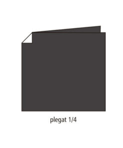 Servilleta 40x40Cm Tisu Sec Negra p50